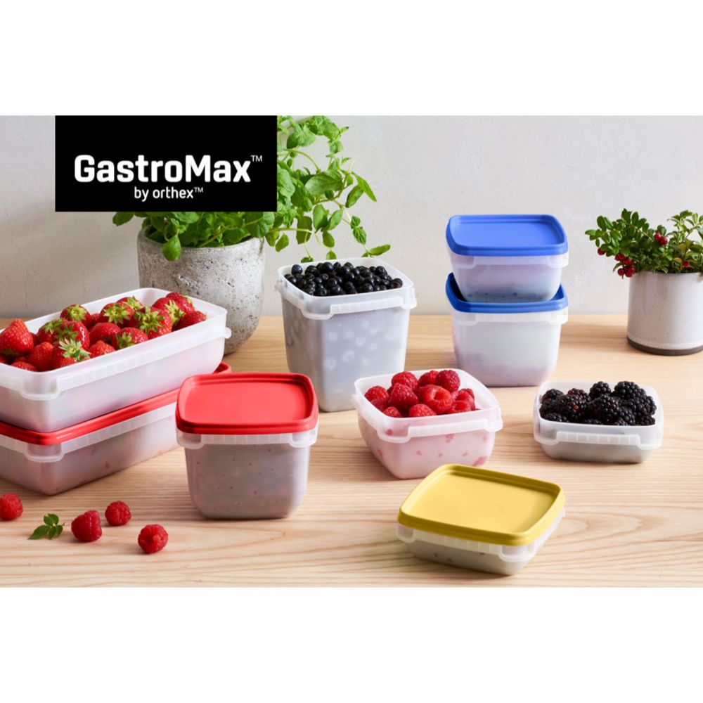 Orthex GastroMax frysbox 0,5 l 5 st. färguppsättning