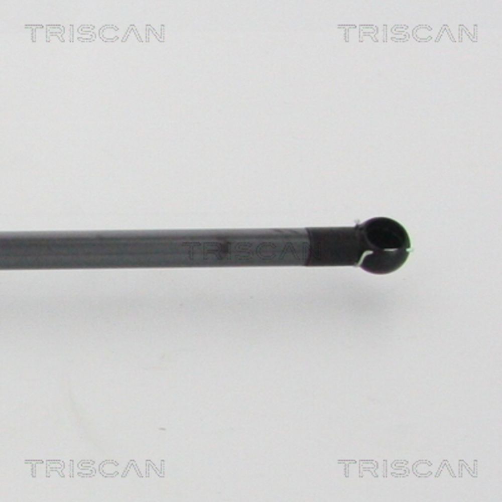 Tavaratilan kaasujousi 12-8602