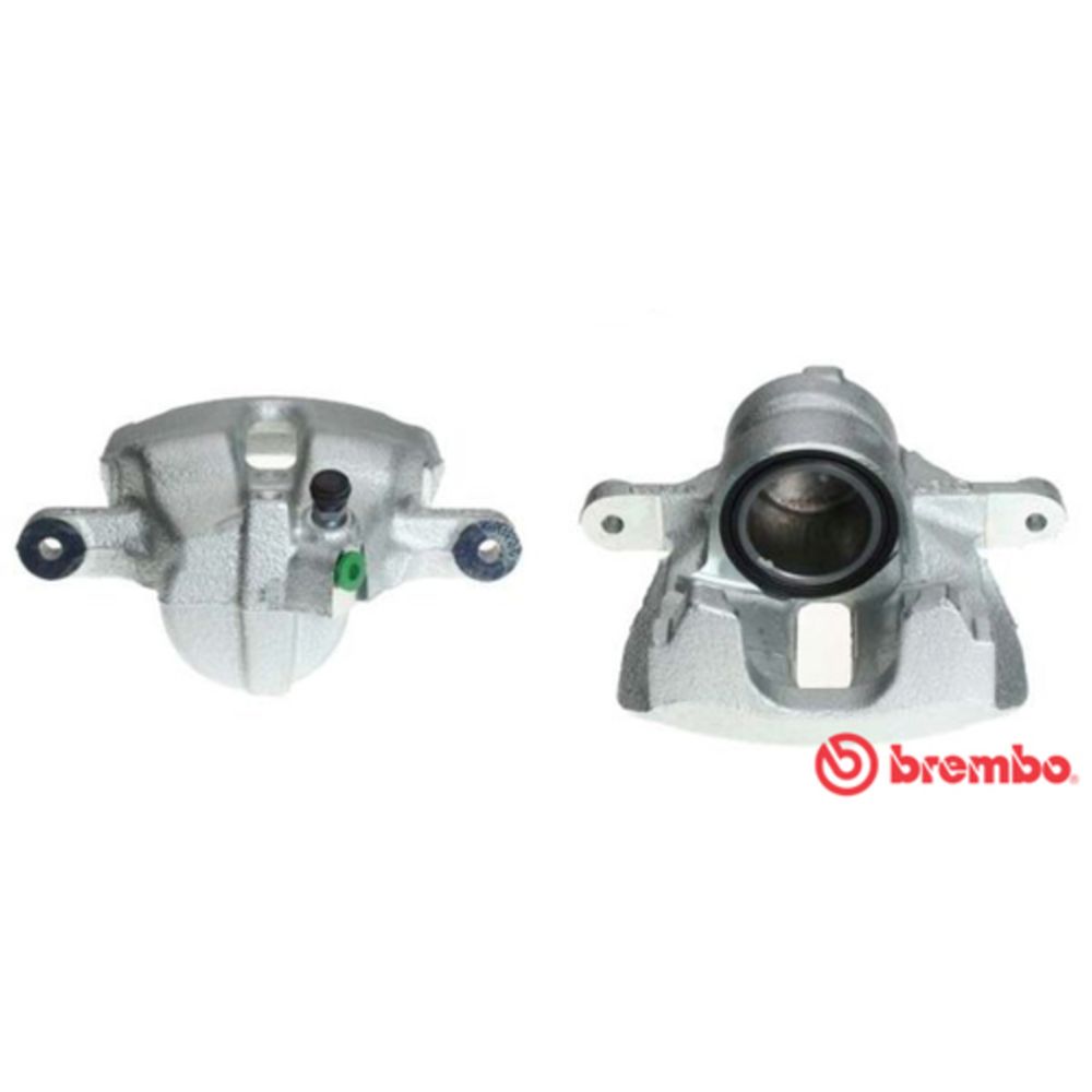 Jarrusatula 23-00975
