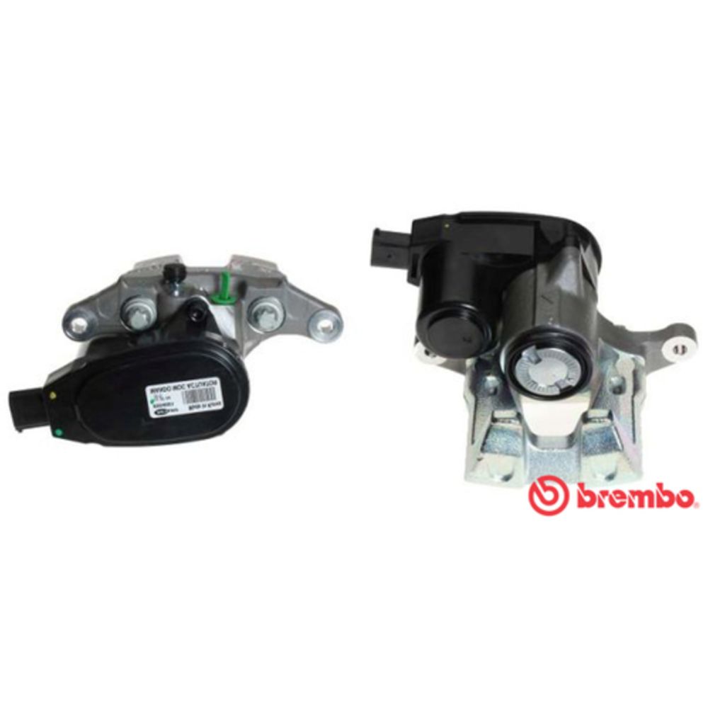 Jarrusatula 23-00594