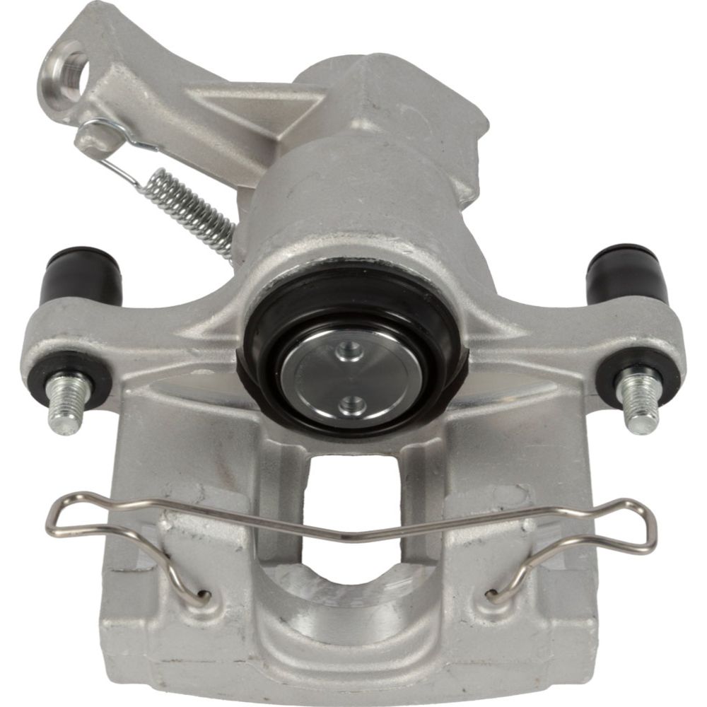 Jarrusatula 23-00728