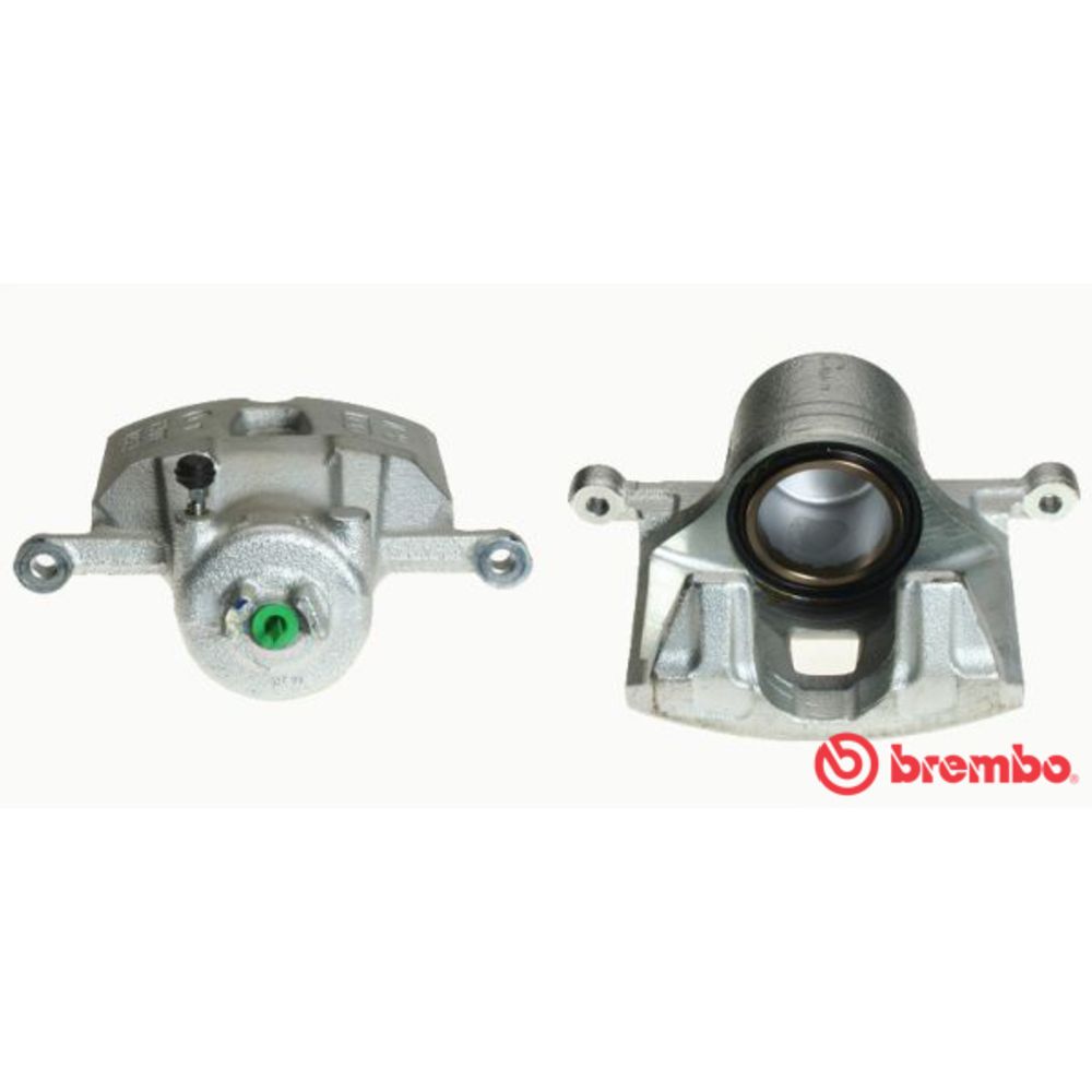 Jarrusatula 23-01317