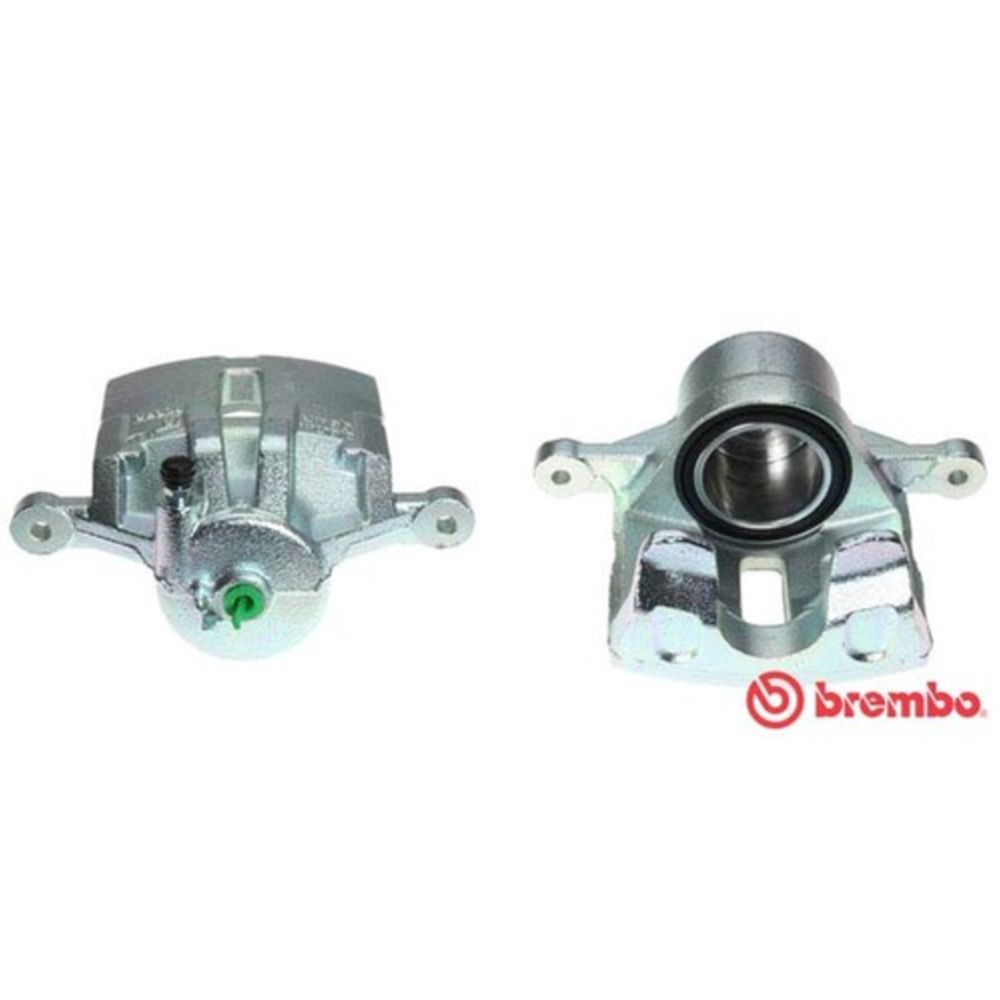 Jarrusatula 23-01260