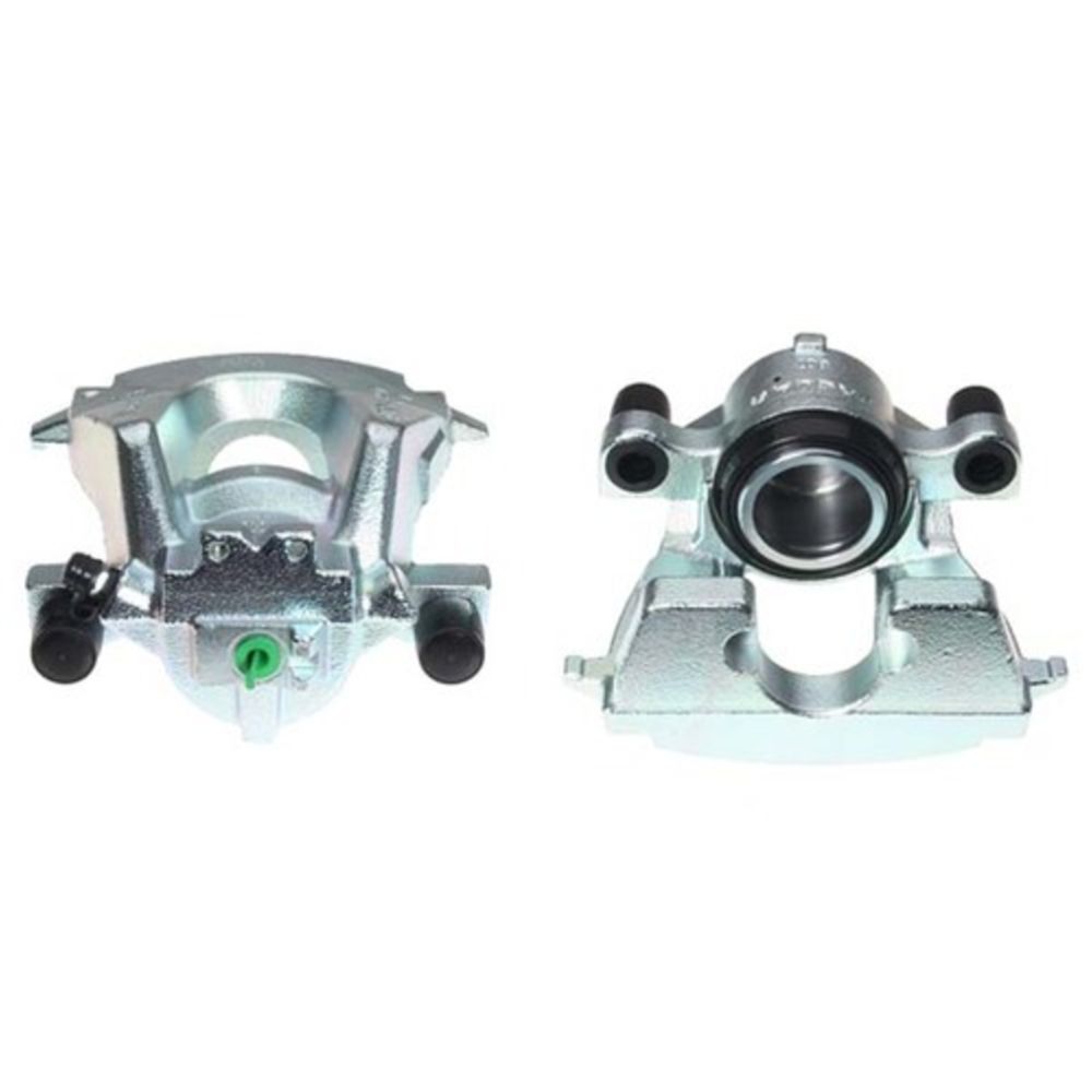 Jarrusatula 23-01432