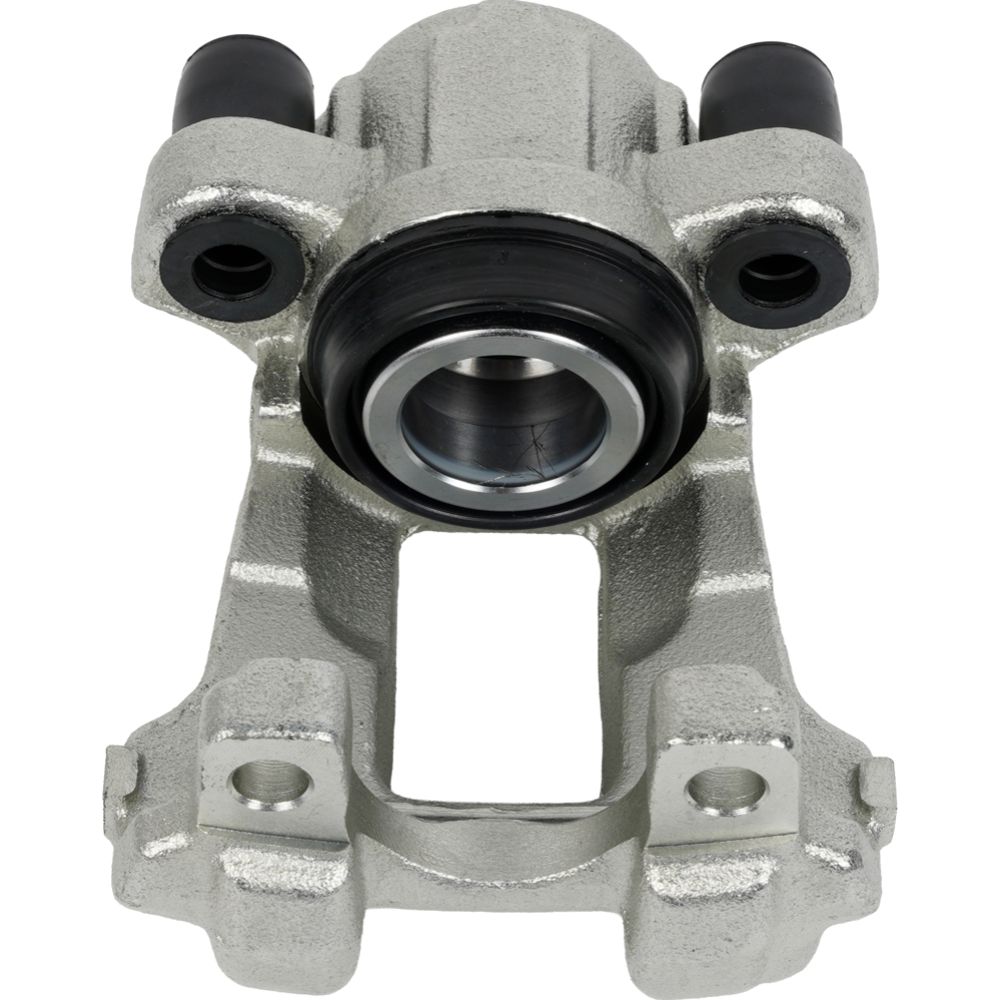 Jarrusatula 23-02682