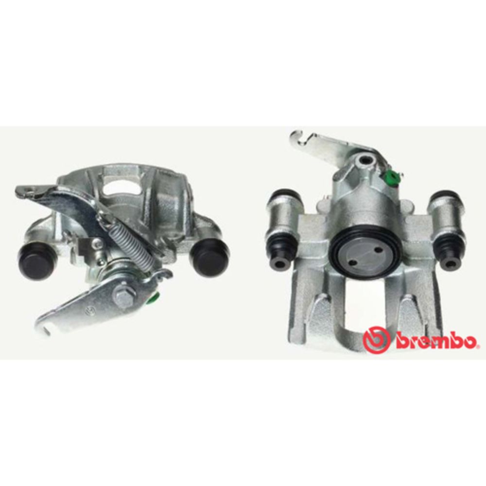 Jarrusatula 23-02895