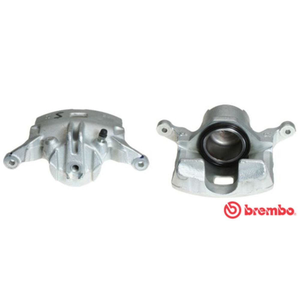 Jarrusatula 23-01367