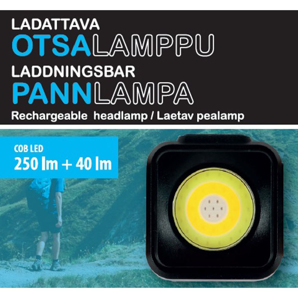 Berg LED-pannlampa uppladdningsbar 250 lm