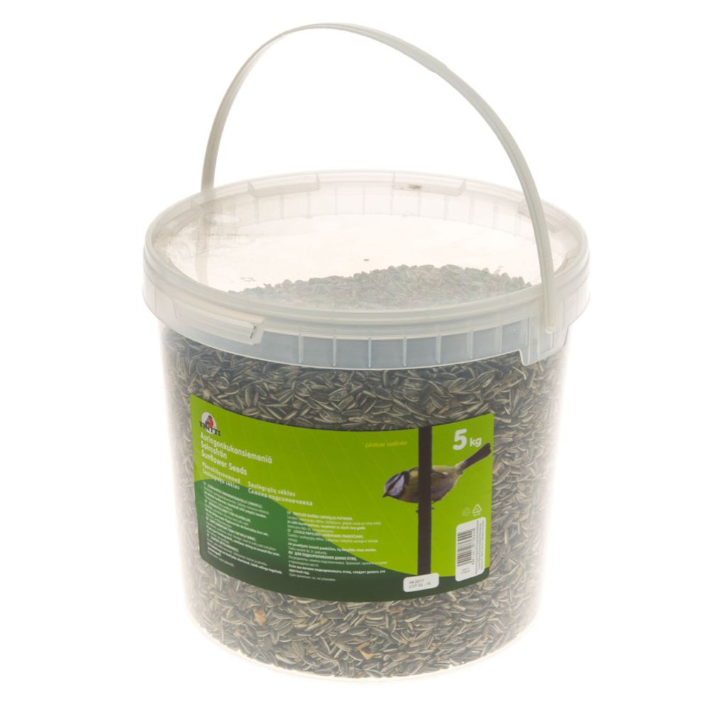 Tintti päevalilleseemned plastämbris, 5 kg