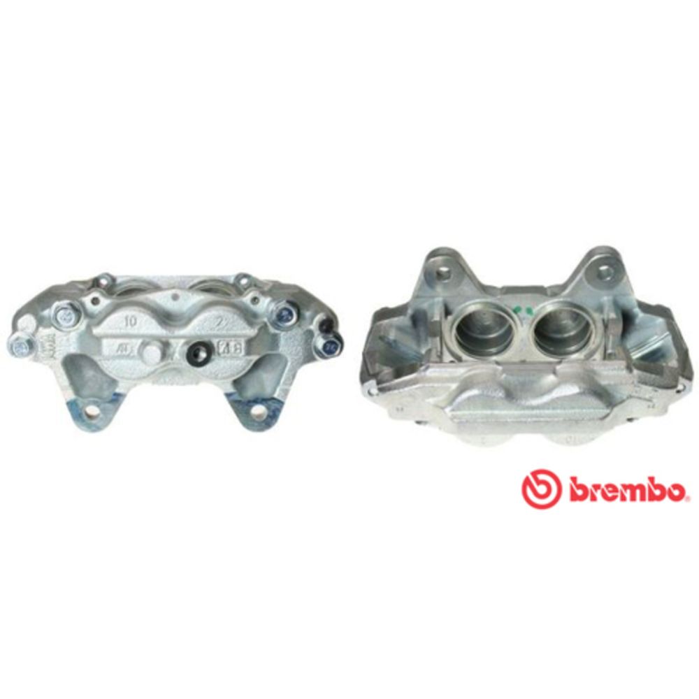 Jarrusatula 23-00429