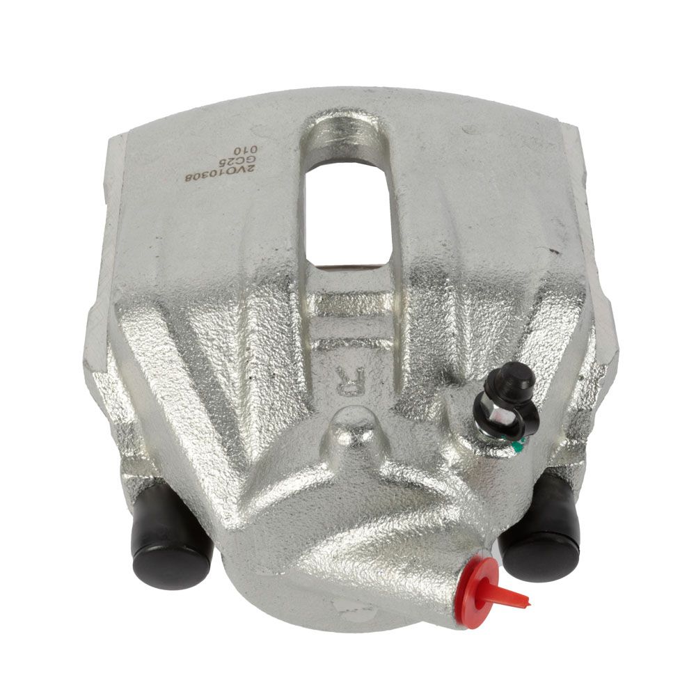 Jarrusatula 23-00784