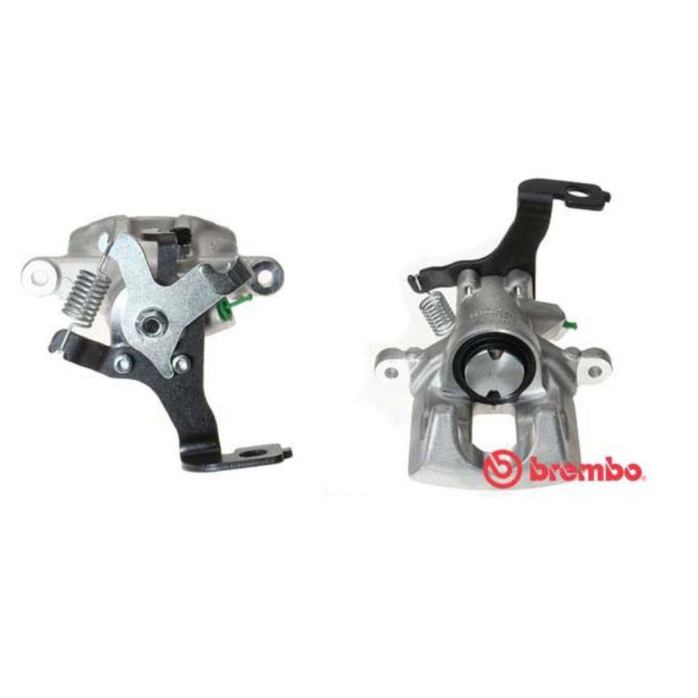 Jarrusatula 23-00233