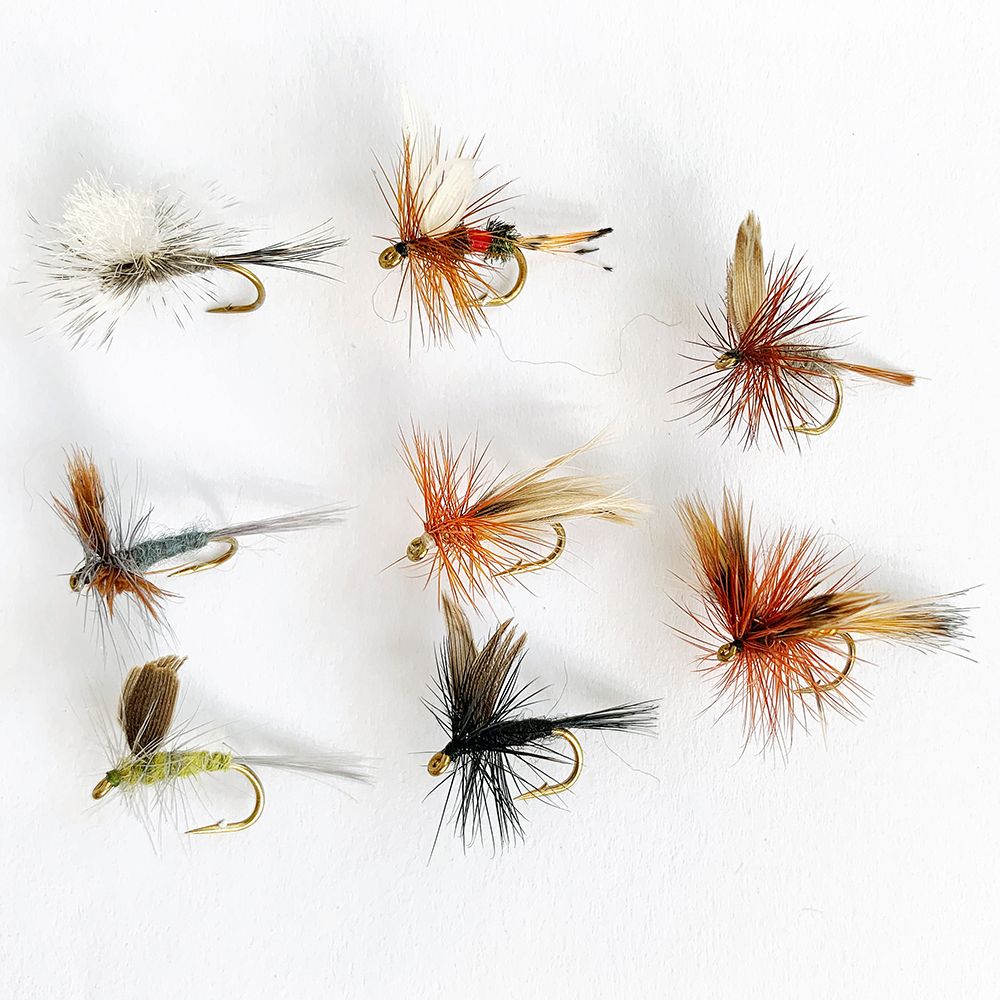 MTX Fishing Dries I torrflugeset 8 st