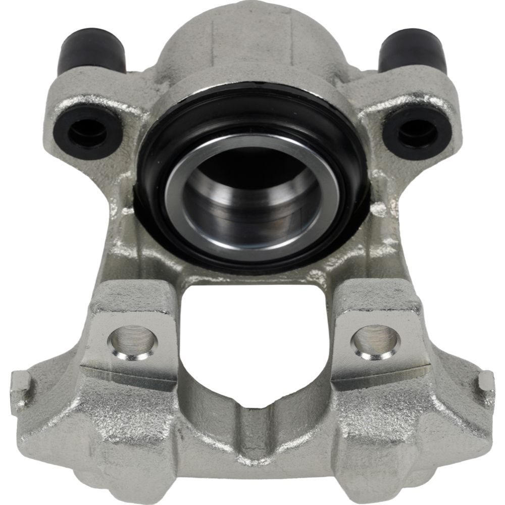 Jarrusatula 23-02730