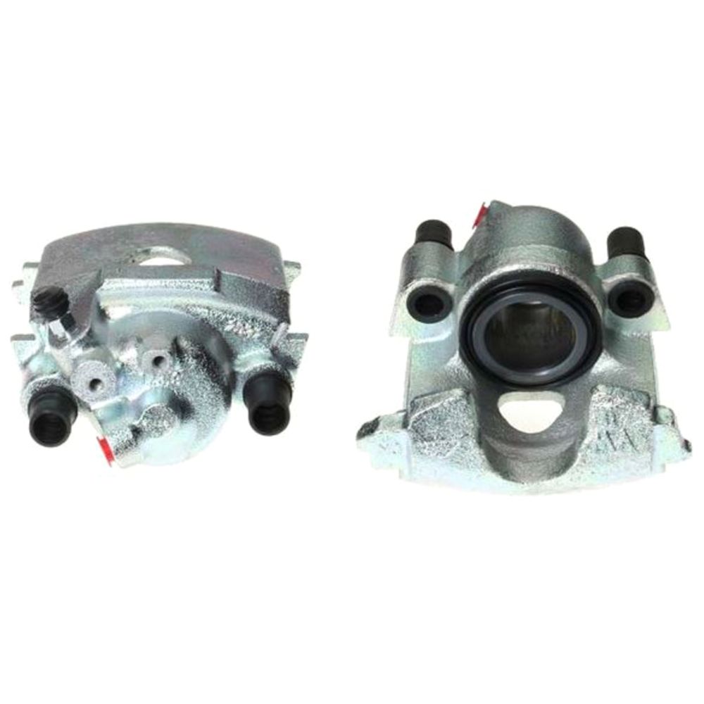 Jarrusatula 23-00123