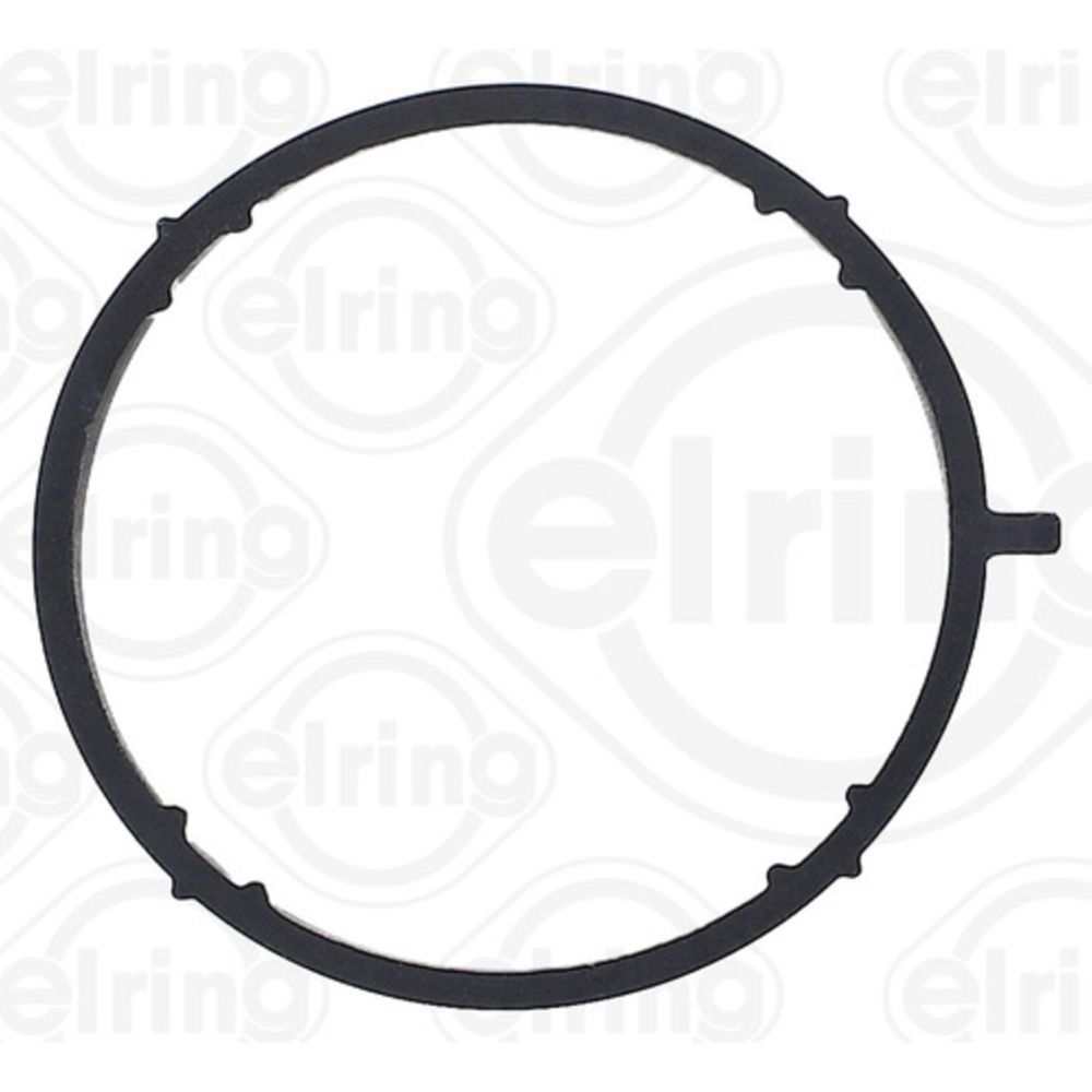 EGR-klapi tihend 28-00495