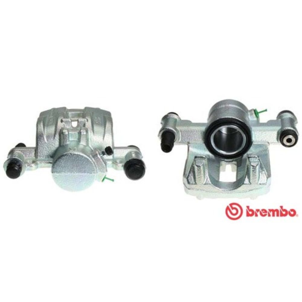 Jarrusatula 23-00963