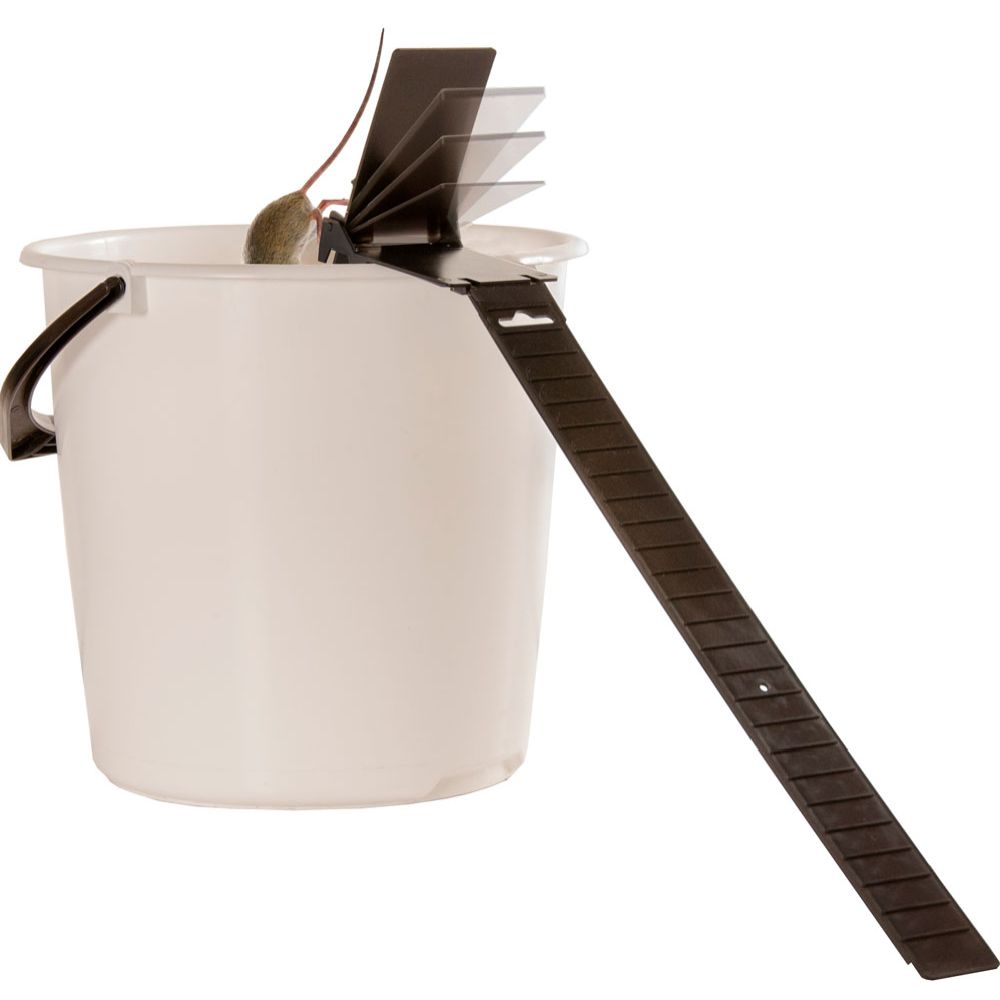 Silverline kippipyydys hiirille ja rotille