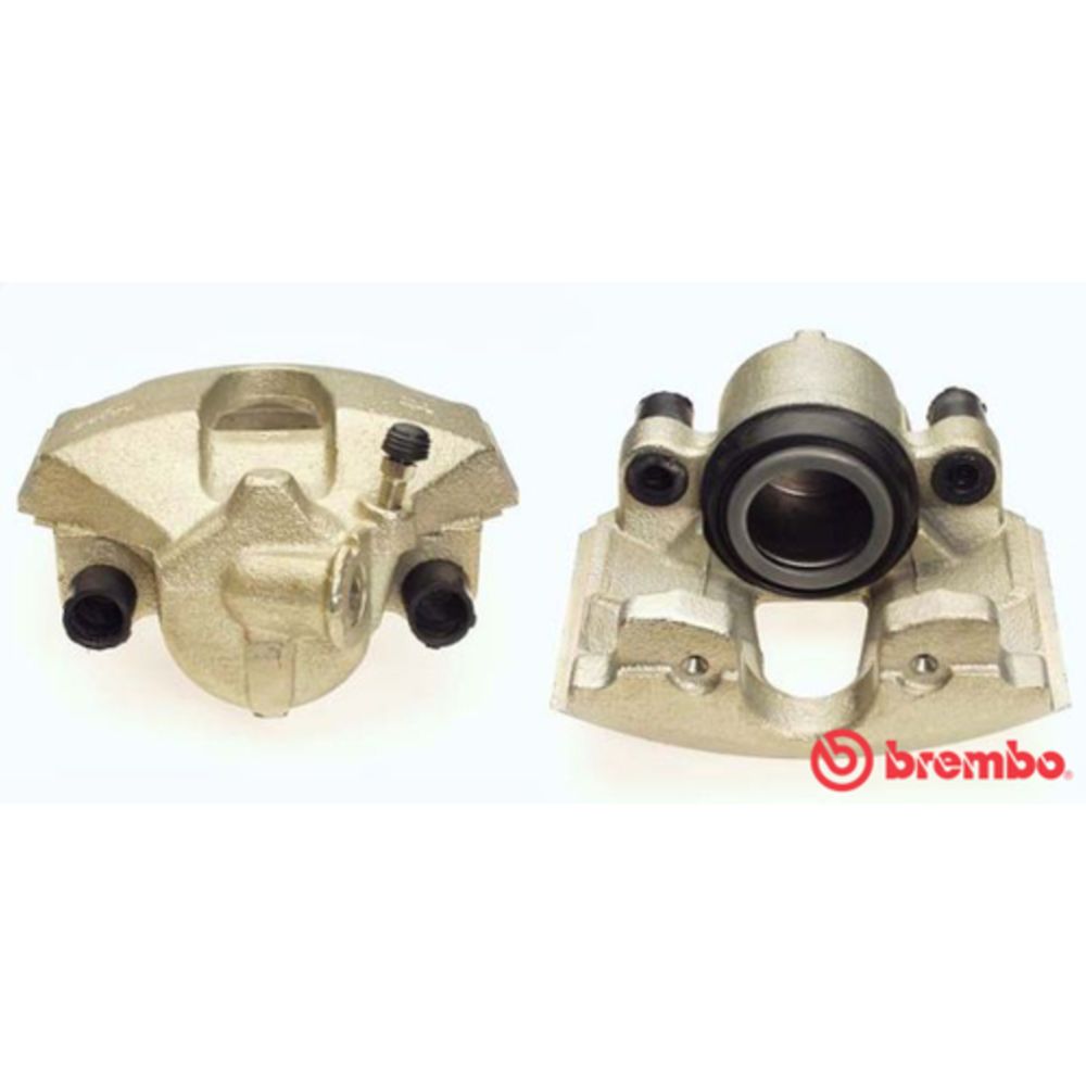 Jarrusatula 23-01159