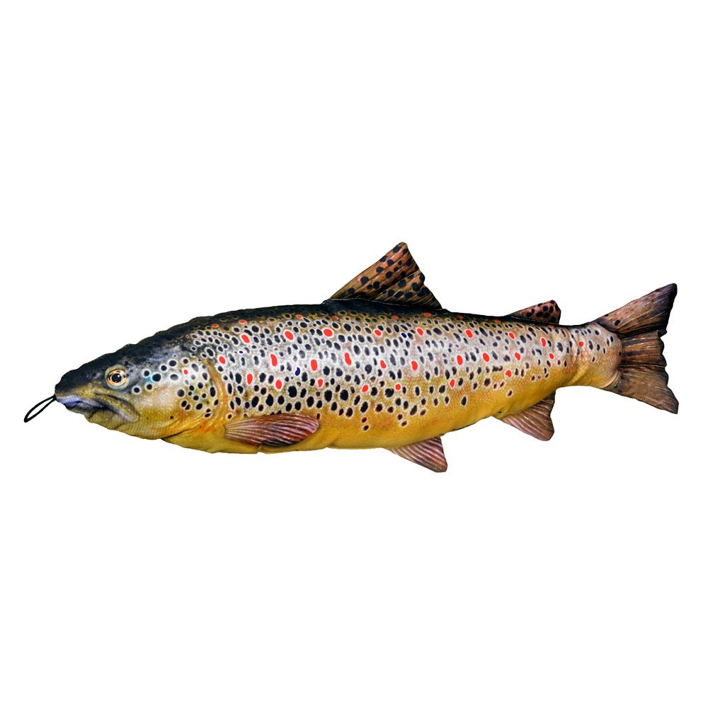 Fladen kalapadi, forell, 65 cm