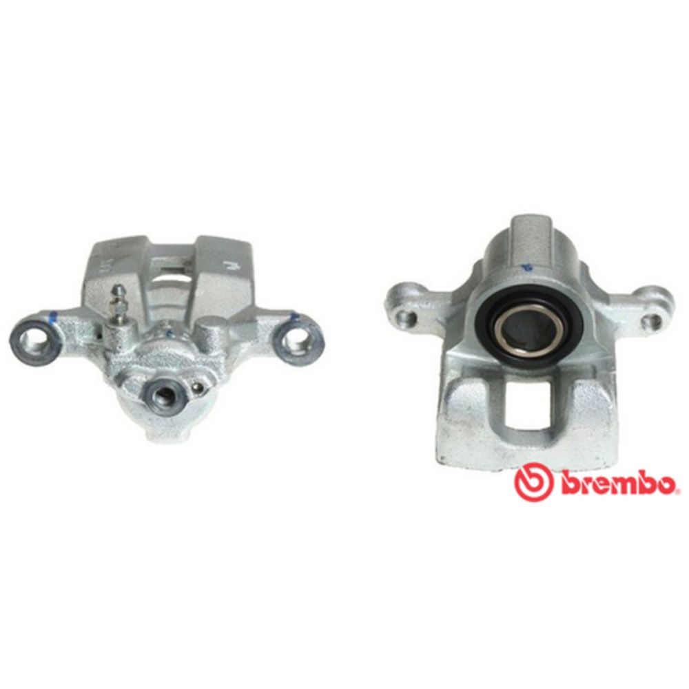 Jarrusatula 23-01343