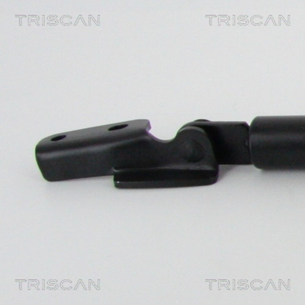 Tavaratilan kaasujousi 12-8602