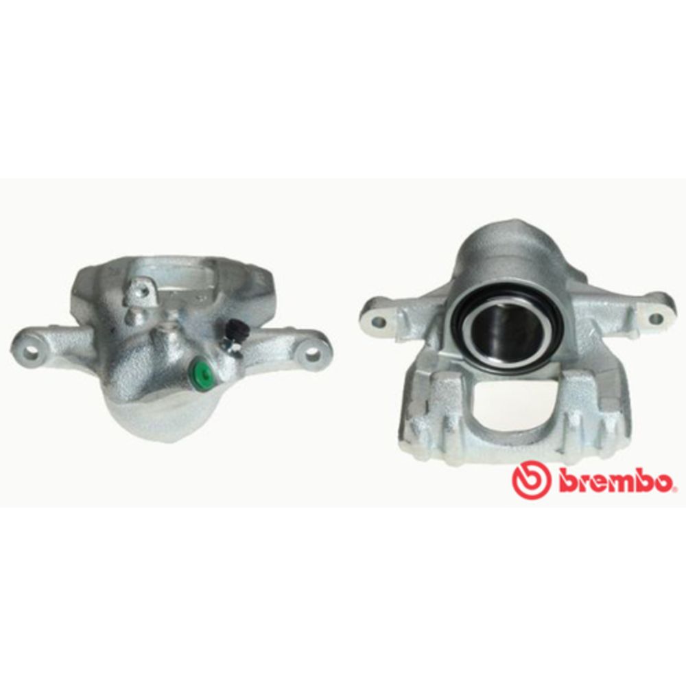 Jarrusatula 23-00220