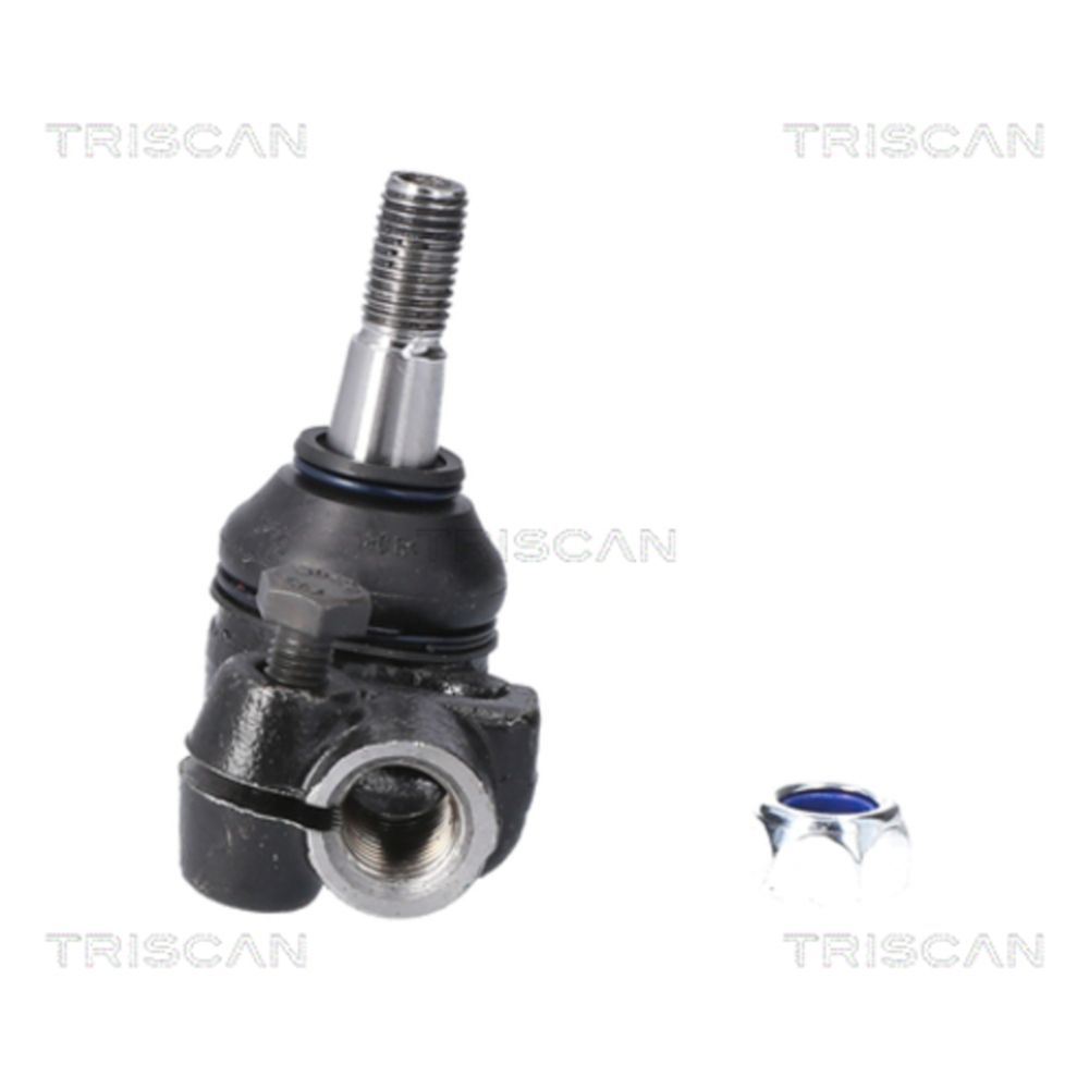 Raidetangonpää 17-2396