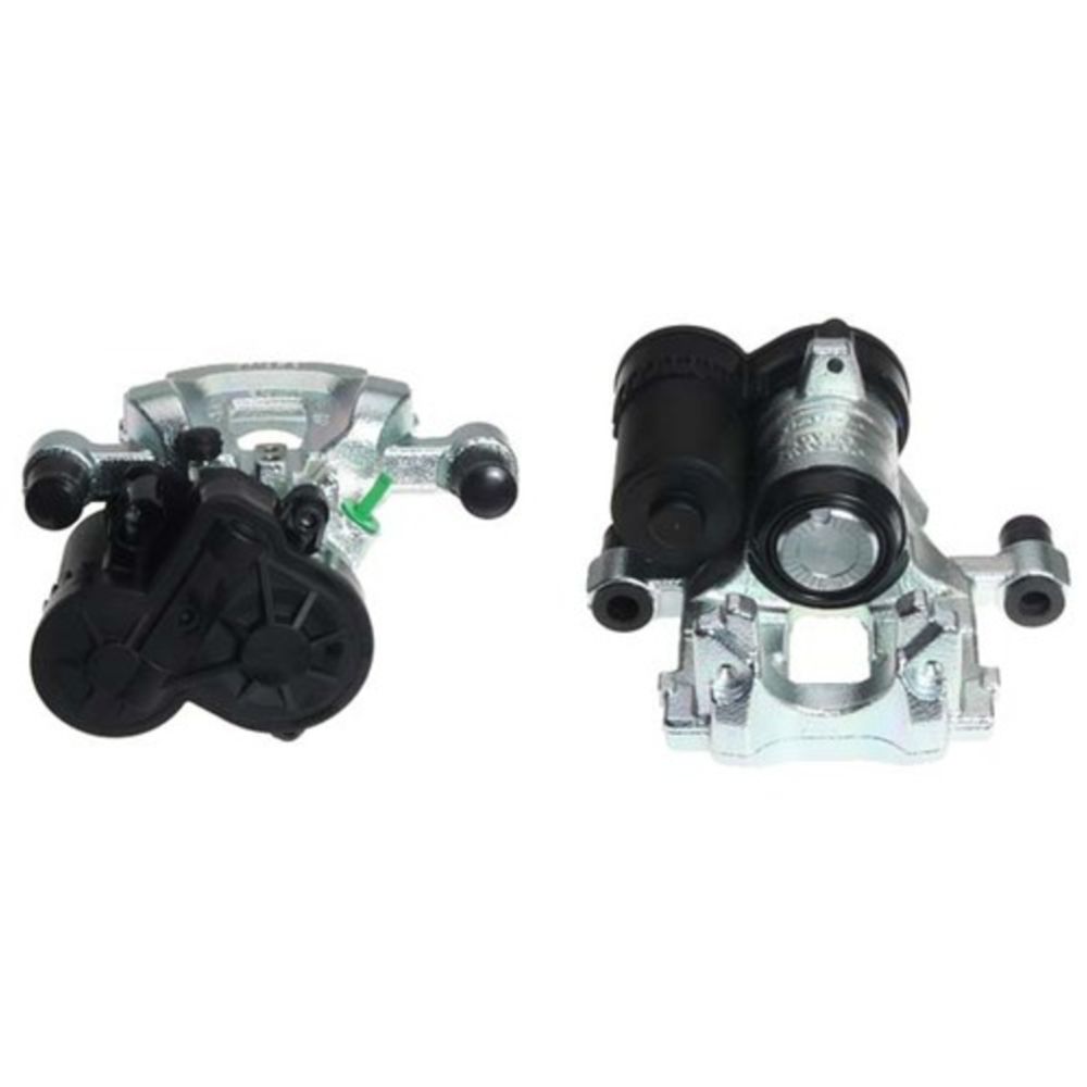 Jarrusatula 23-00942