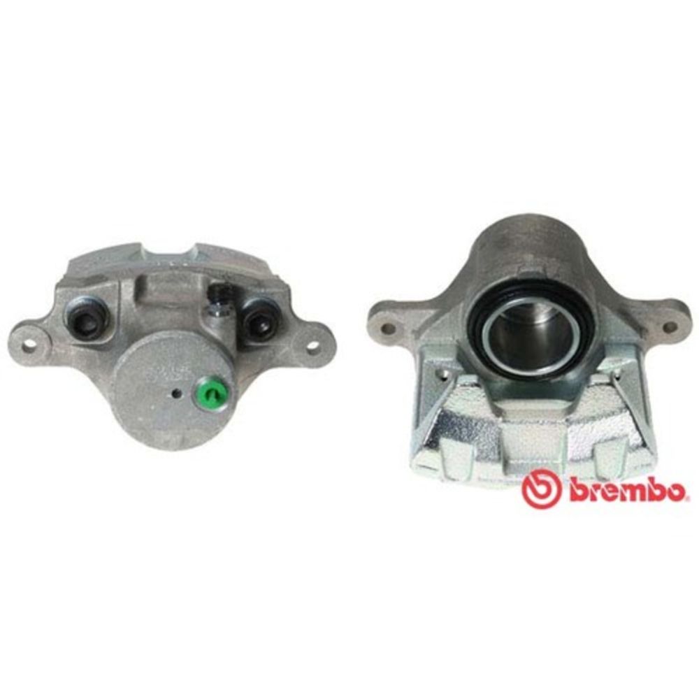 Jarrusatula 23-01173