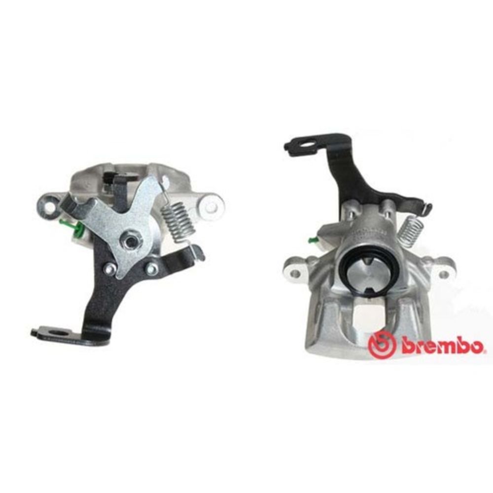 Jarrusatula 23-00234