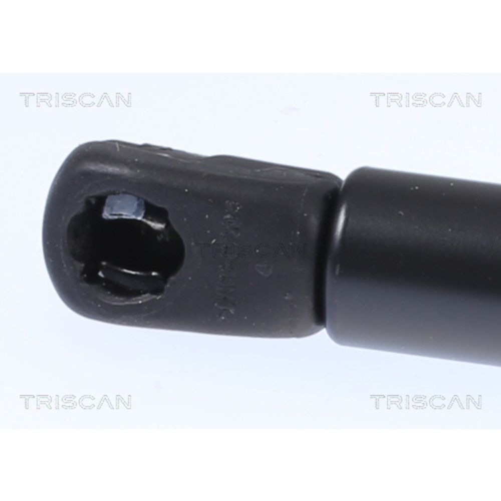 Tavaratilan kaasujousi 12-00800