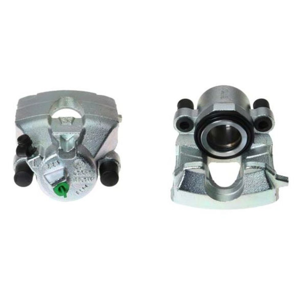 Jarrusatula 23-00317