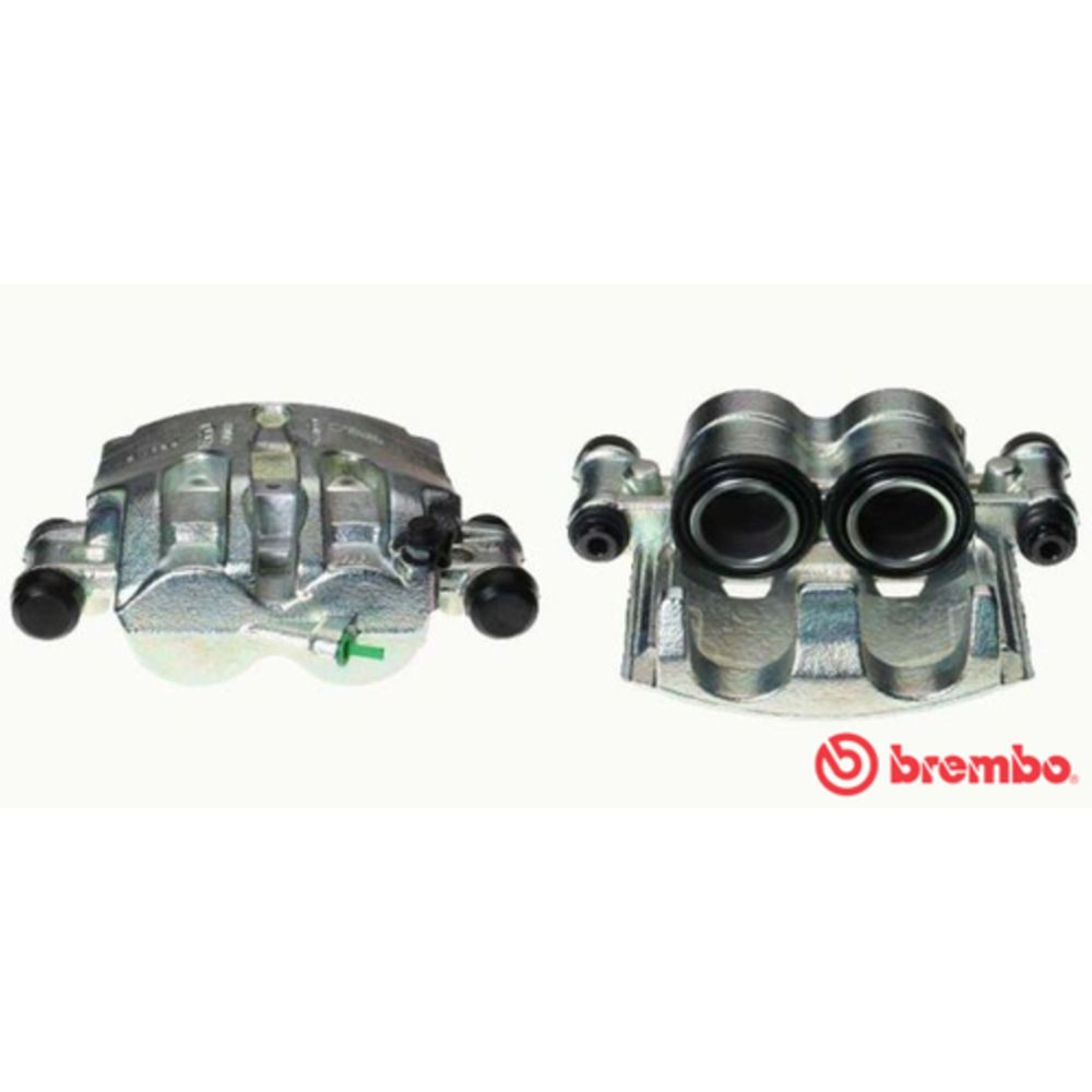 Jarrusatula 23-01410