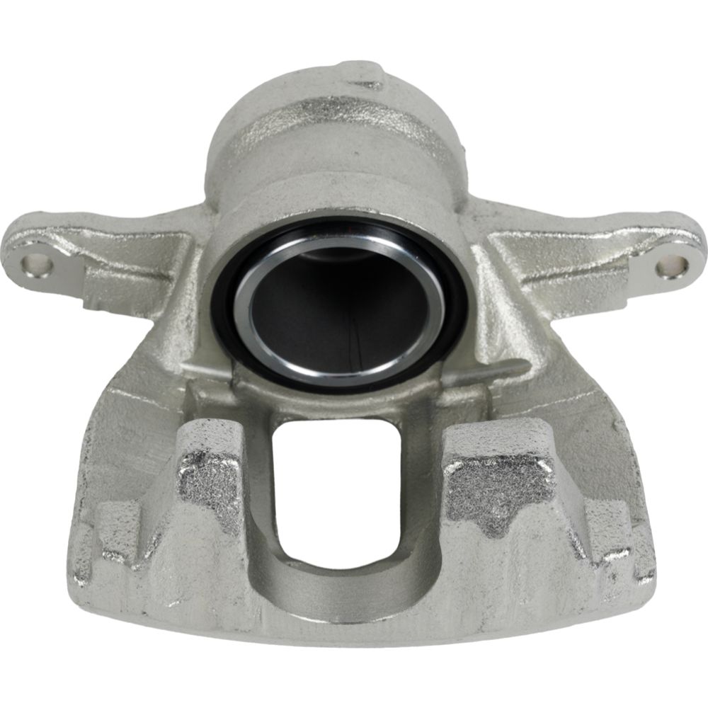 Jarrusatula 23-02756