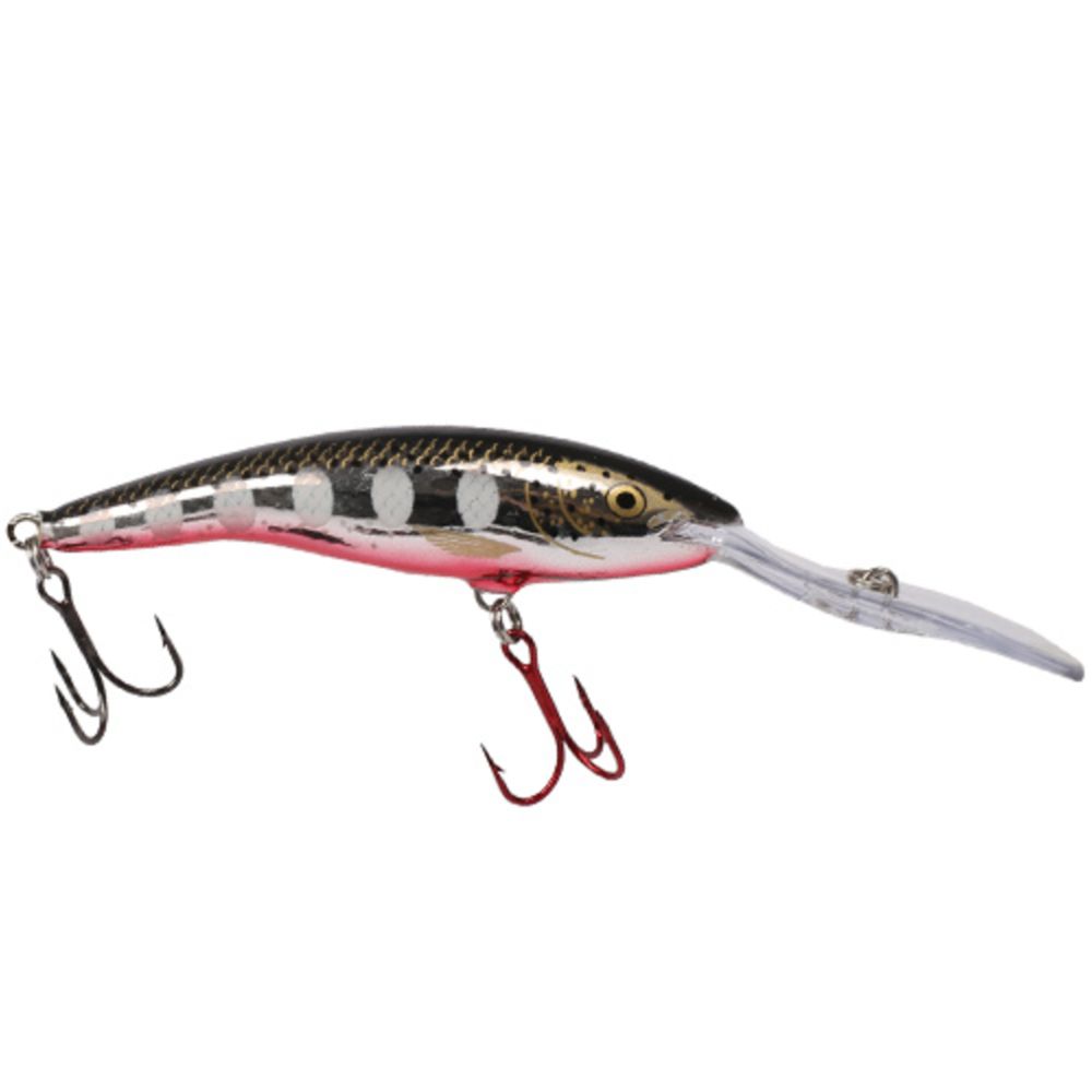 Rapala Deep Tail Dancer wobbler 9 cm 13 g färg: BFL
