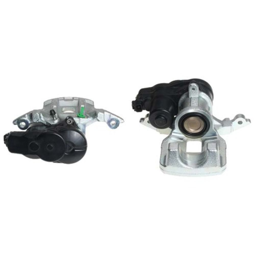 Jarrusatula 23-03015