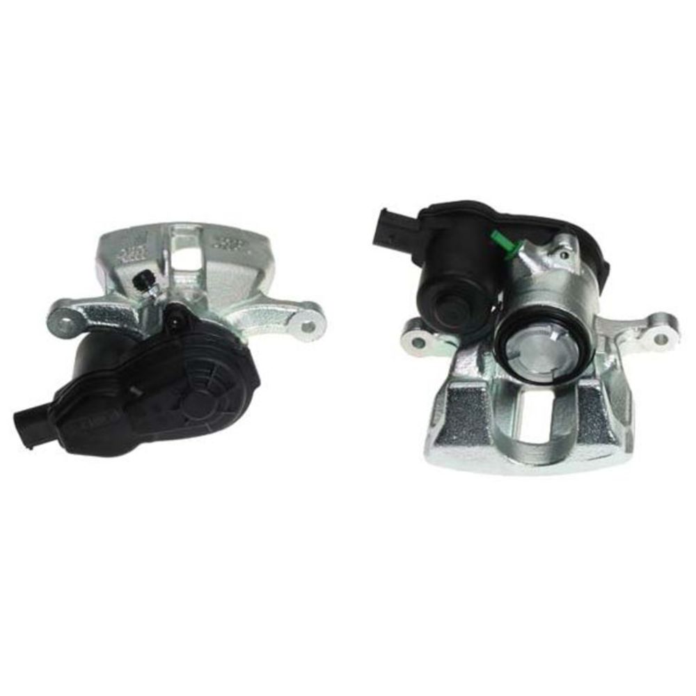 Jarrusatula 23-00410