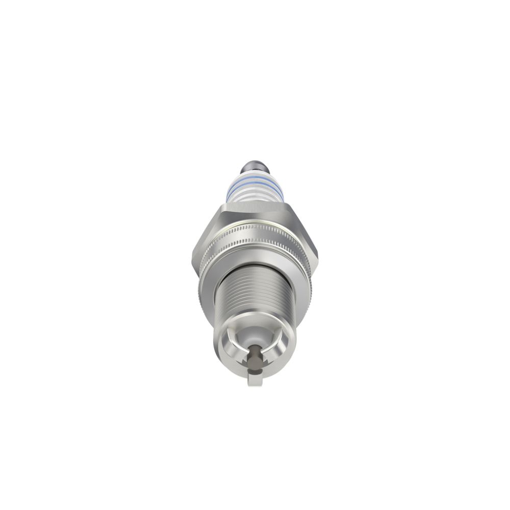 Bosch W8DTC süüteküünal