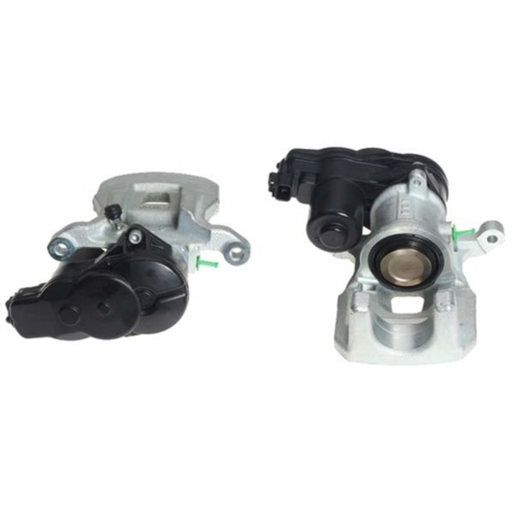 Jarrusatula 23-02436