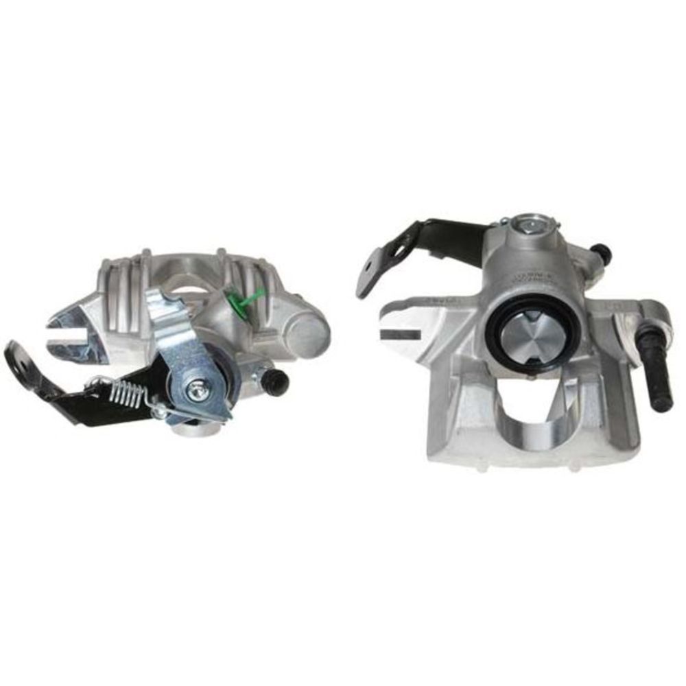 Jarrusatula 23-00139