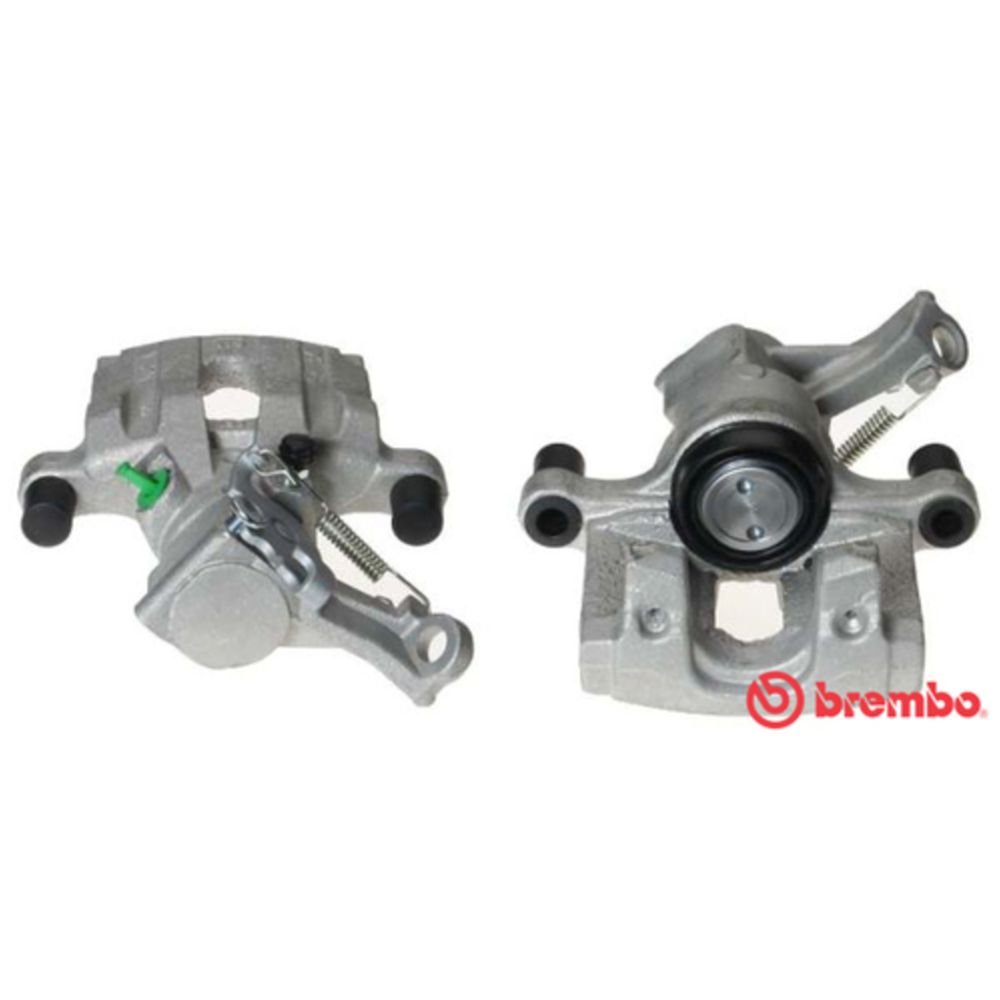 Jarrusatula 23-01020