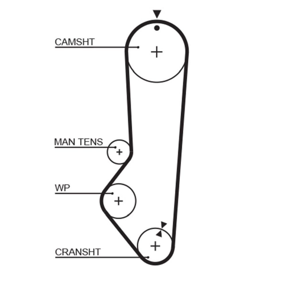 Kuggrem 25-5014