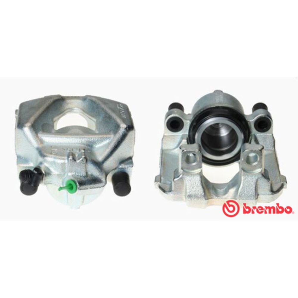 Jarrusatula 23-00274