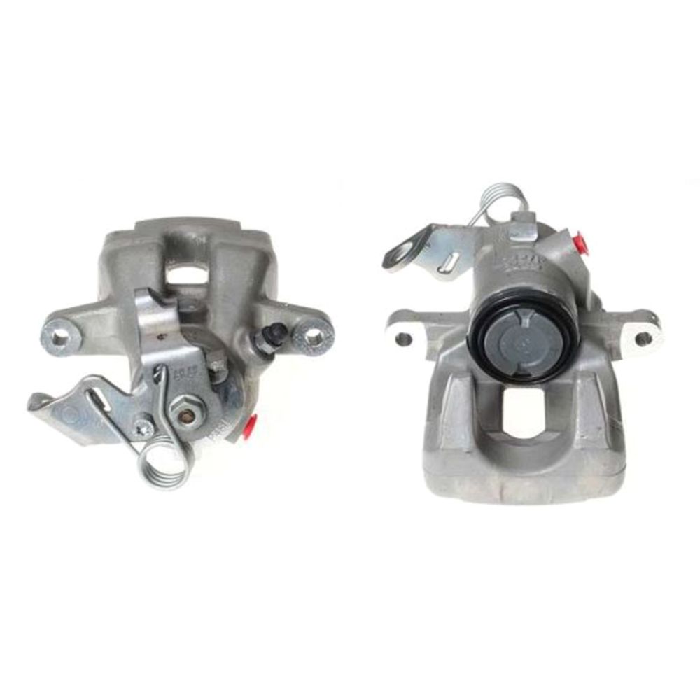 Jarrusatula 23-00187