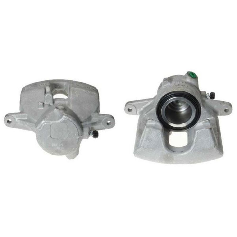 Jarrusatula 23-00143