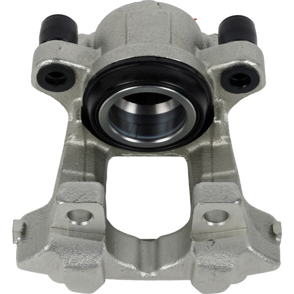 Jarrusatula 23-02729