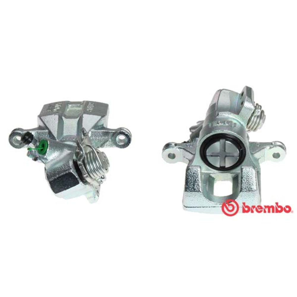 Jarrusatula 23-00399