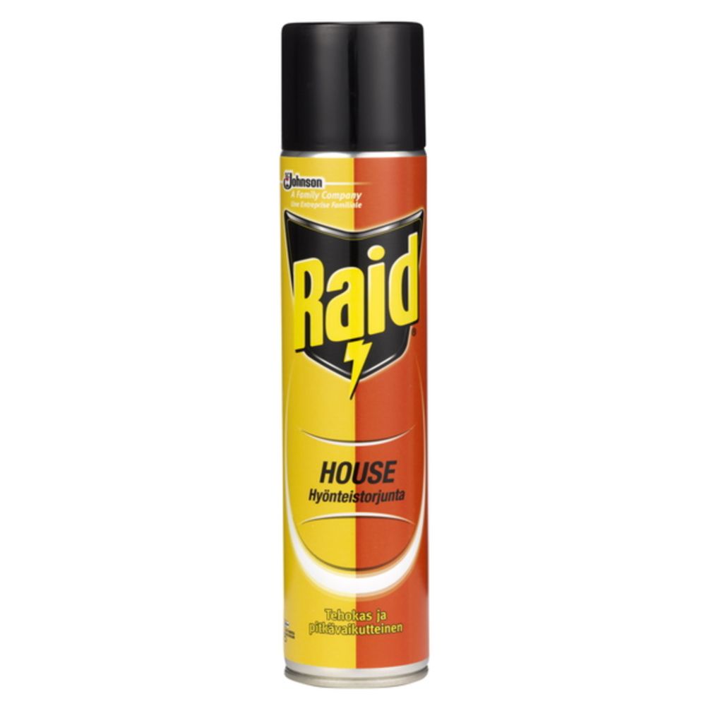 Raid House hyönteistorjunta 300 ml