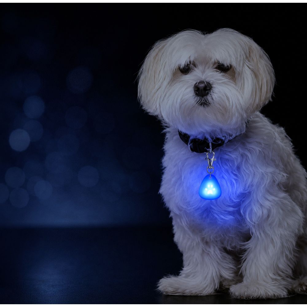 Berg LED-avaimenperävalaisin tassu
